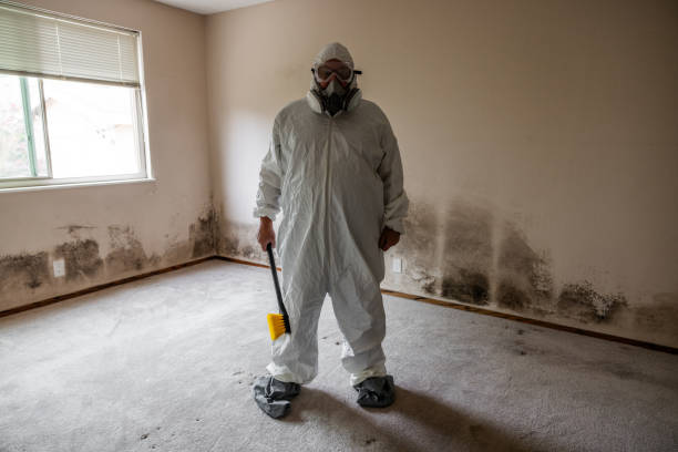 Best Biohazard Mold Removal  in Mccom, MS